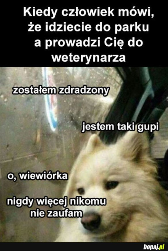 ZDRADZIECKI CZŁOWIEK