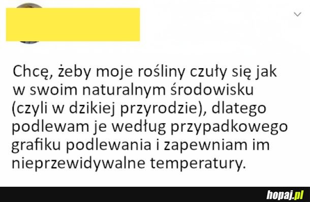 Mają jak w swoim naturalnym środowisku