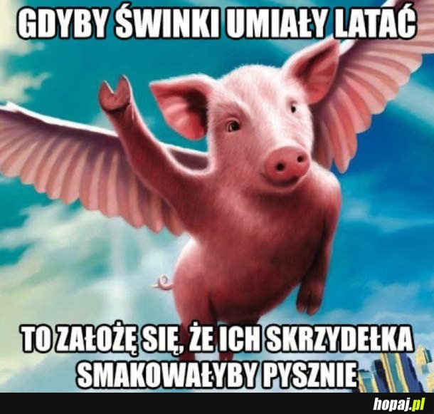 LATAJĄCA ŚWINKA