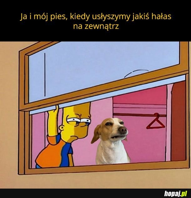 Co tam się dzieje kolego