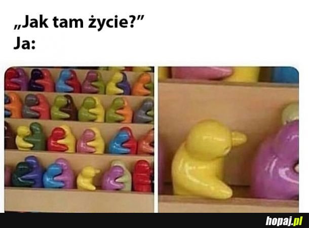 Życie