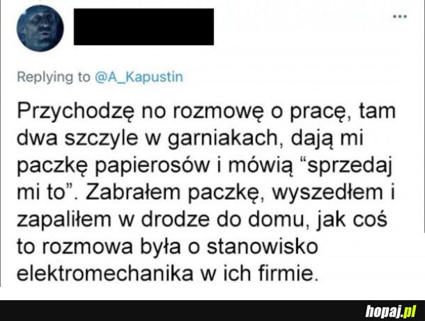 Rozmowa o pracę