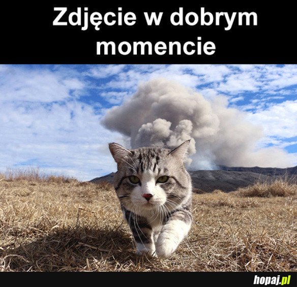 DOBRY MOMENT