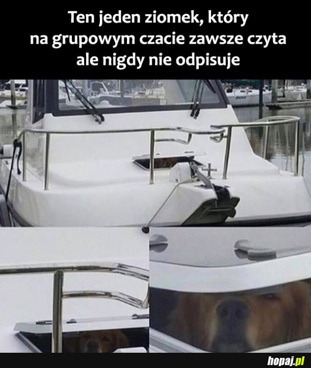 Ten jeden ziomek