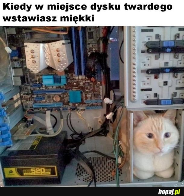 Miękki dysk