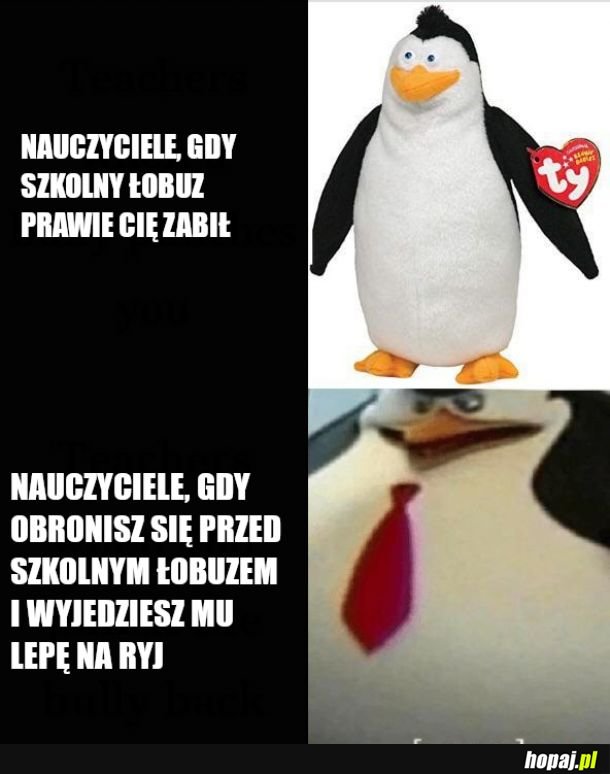  Takie podejście a potem dziwota że się strzelają 