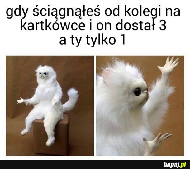 ŚCIĄGACZ