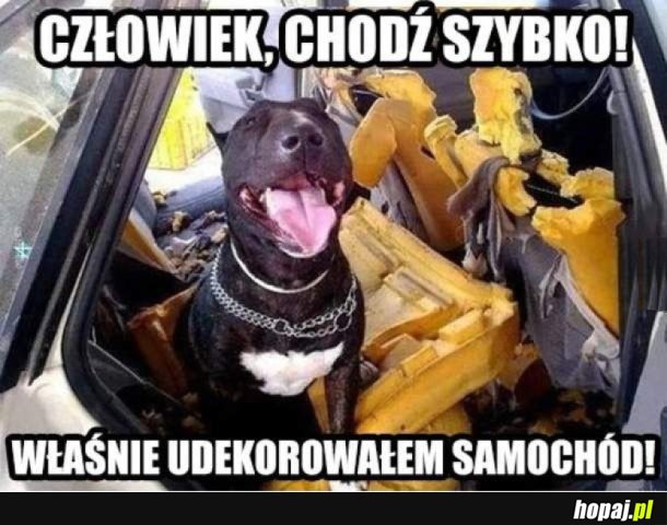 SZYBKO CHODŹ ZOBACZ