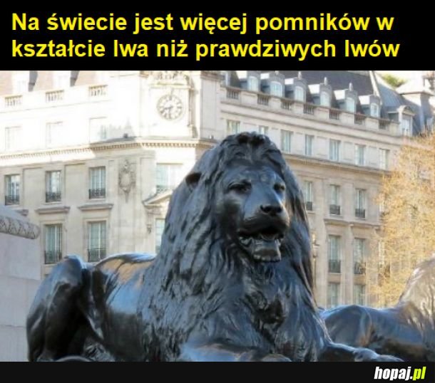 Lew i podróbka lwa