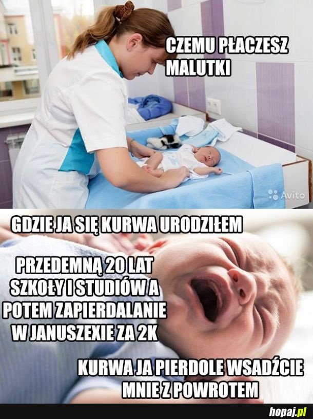 Ja chce wracać!