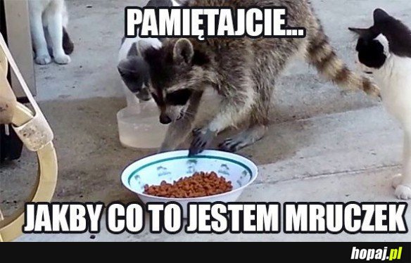 PAMIĘTAJCIE, JESTEM MRUCZEK