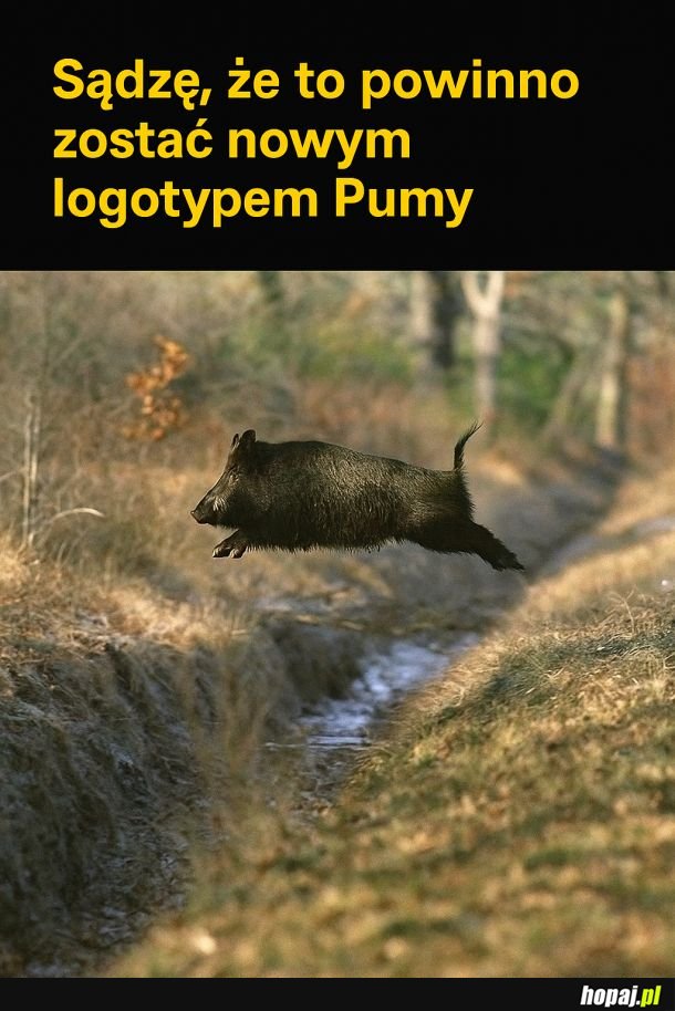 Piękne zdjęcie