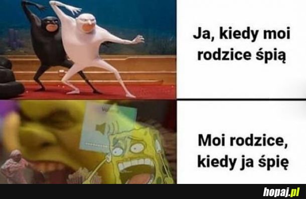  Moi rodzice 