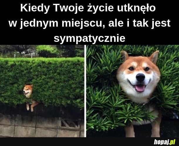 Życie mi utkło