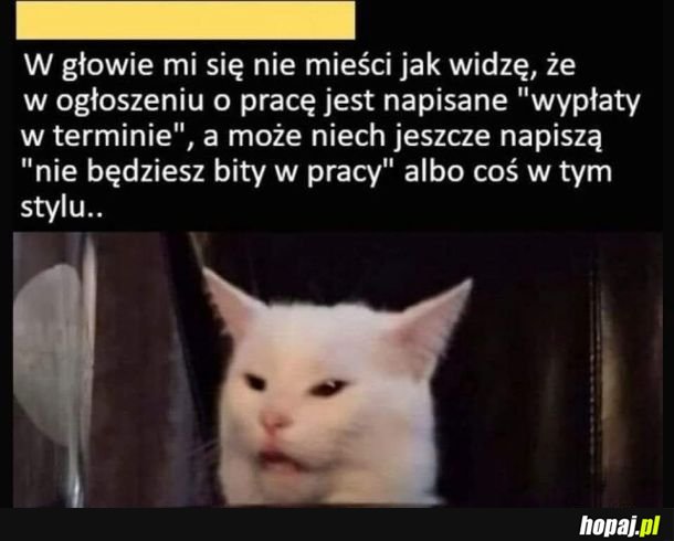 Pan taki dobry, zapłaci na czas.