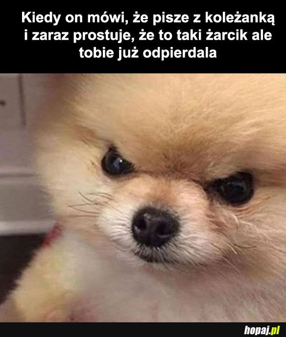 Laski takie są