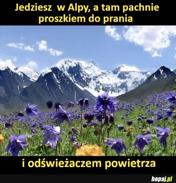 Znajomo