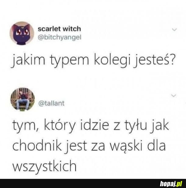 Typ kolegi