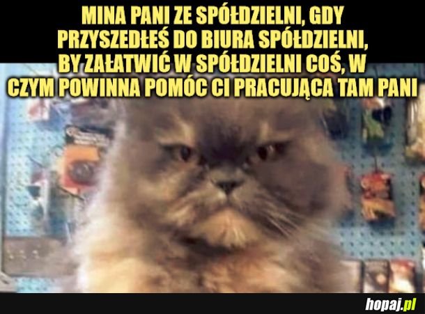 Pani ze spółdzielni.