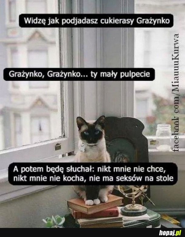 OH GRAŻYNKO... CZY TY SIĘ NAUCZYSZ