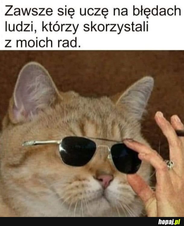 Porady