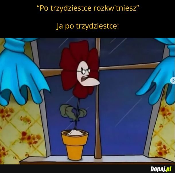Jestem starym dziadem