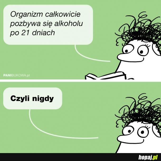 Ciekawostka na dziś