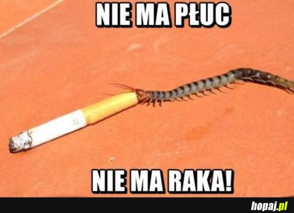 NIE MA RAKA!