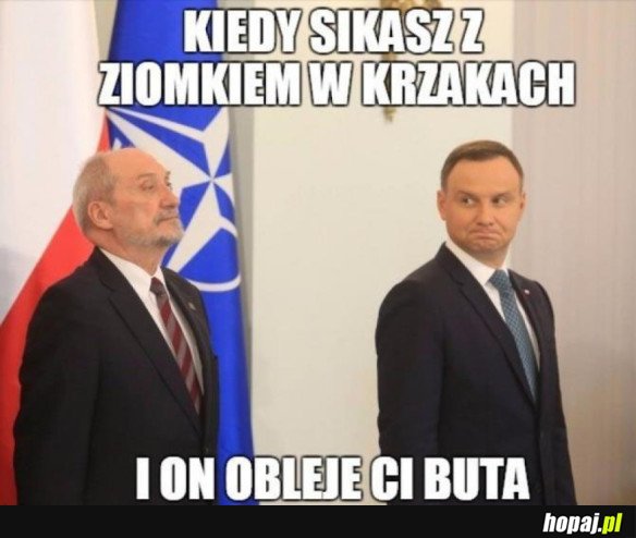 TAKI Z CIEBIE KOLEGA