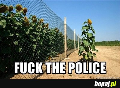 F*ck the police