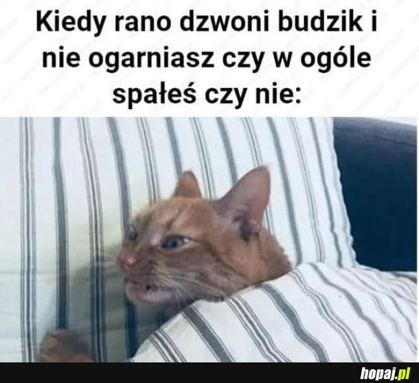 Cosiedzieje