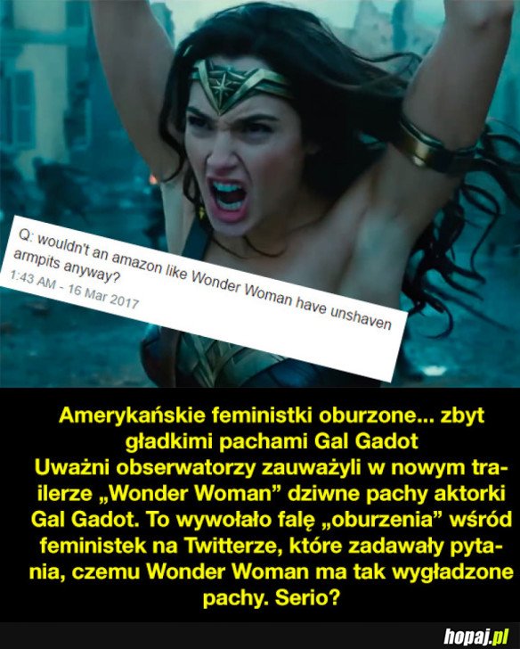 AMERYKAŃSKIE FEMINISTKI W PIGUŁCE