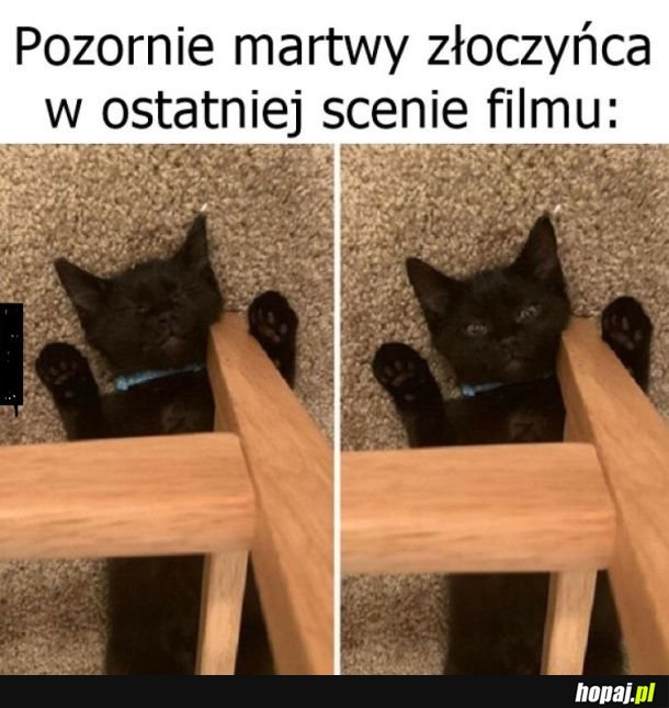 Film