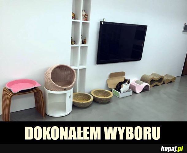 Bóg wybrał