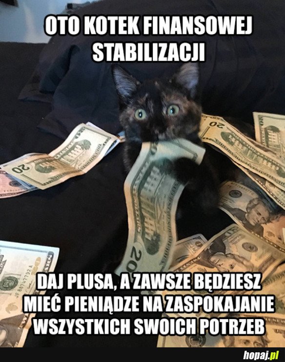 KOTEK PIENIĘŻNY TO AMULET POTĘŻNY