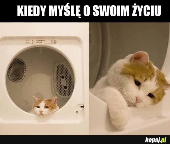 Nie ma co się cieszyć