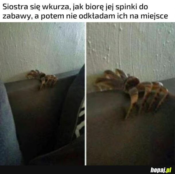 Spinki do włosów