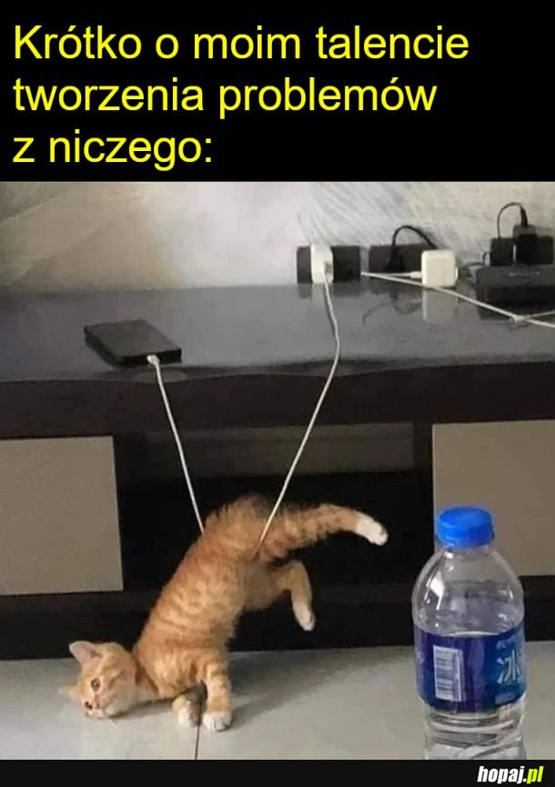 Coś z niczego