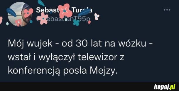 Efekt teorii spiskowej Mejzy