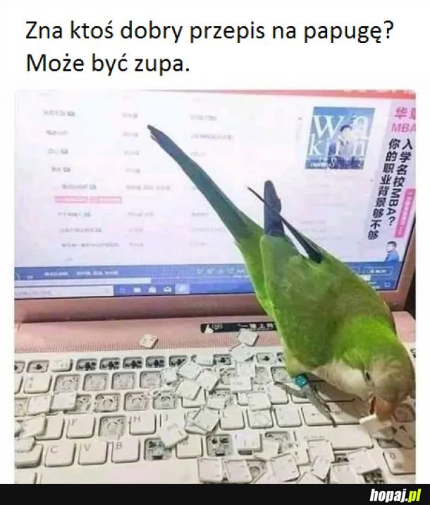 Papug, nie żyjesz.