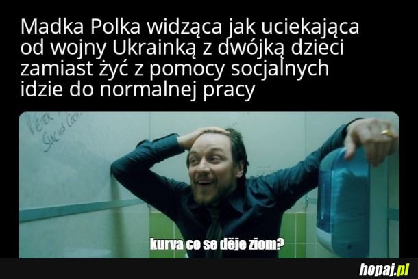 Co się dzieje ziom