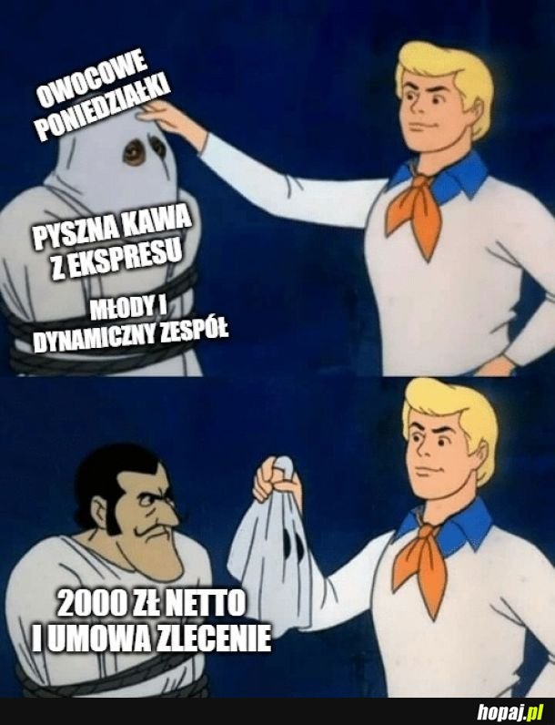  Ogłoszenia o pracę 