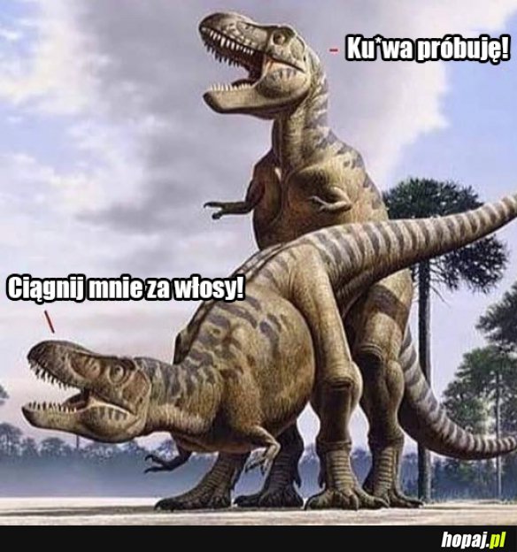 T-rexy i seksy