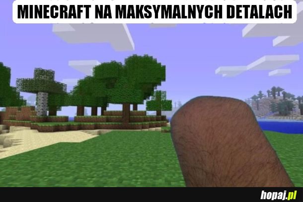 Minecraft