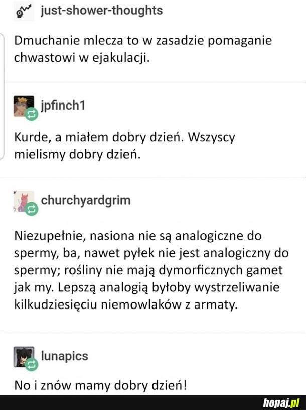 Już nigdy nie spojrzysz tak samo na dmuchawce