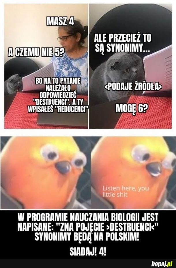 Nie dyskutuj