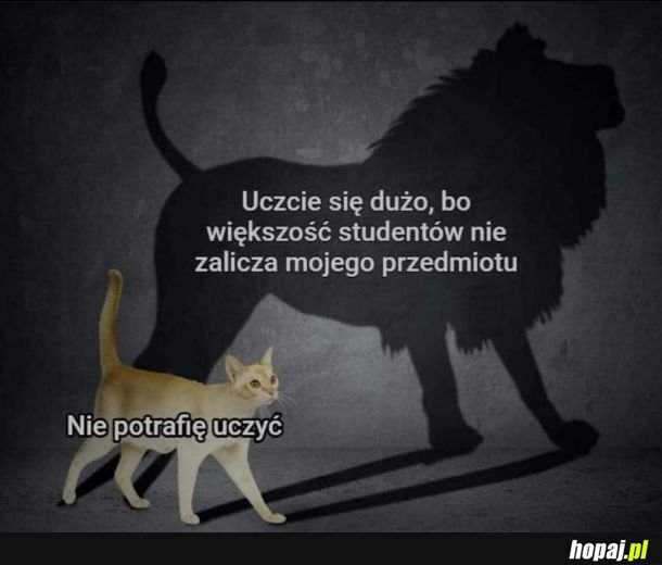 Tak też bywa