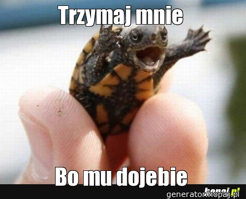 Trzymaj mnie