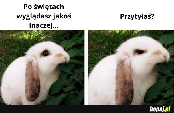 Ostatnie słowa przed śmiercią