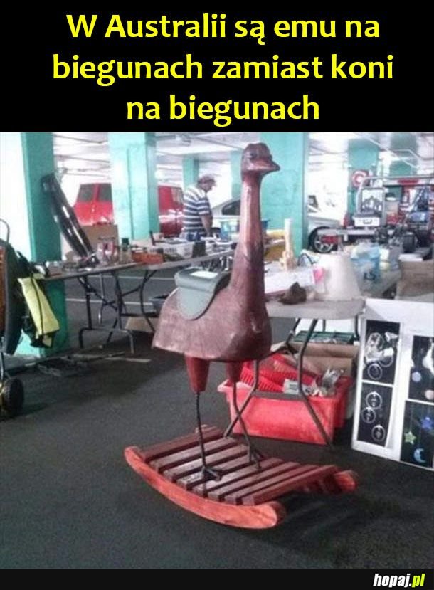 Emu na biegunach